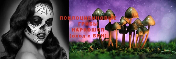 стафф Алзамай