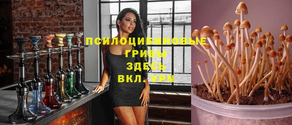 бошки Аркадак