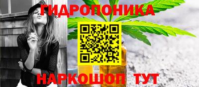 экстази Гай