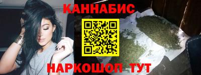 бошки Гатчина