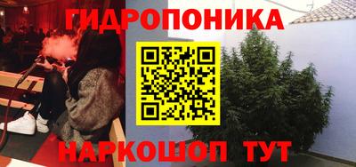 экстази Гай