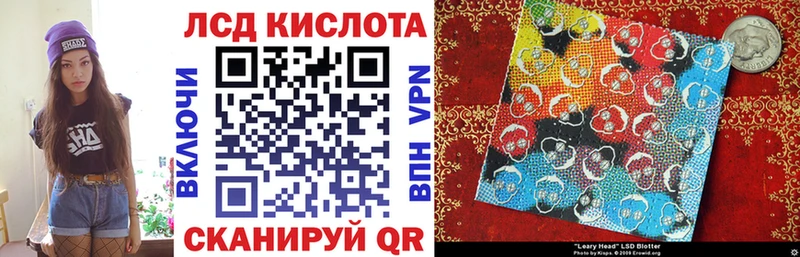 где найти   Лесной  Марки N-bome 1,5мг 