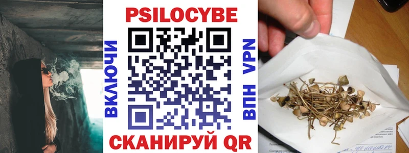 Псилоцибиновые грибы Cubensis  ОМГ ОМГ зеркало  Лесной 