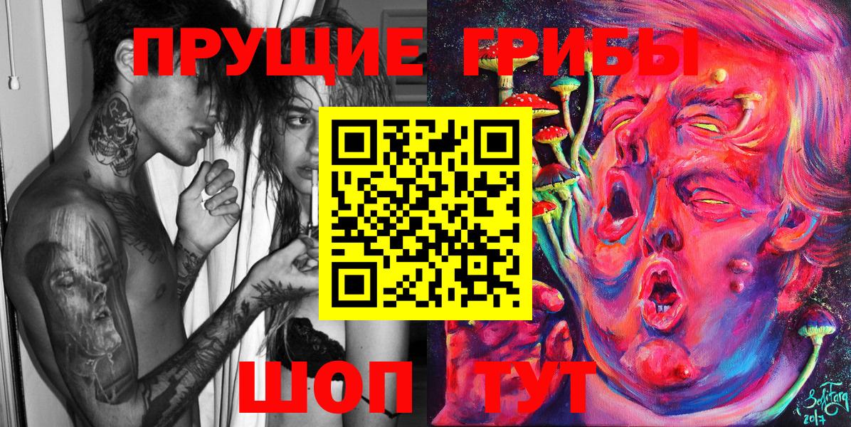 Псилоцибиновые грибы GOLDEN TEACHER Лесной