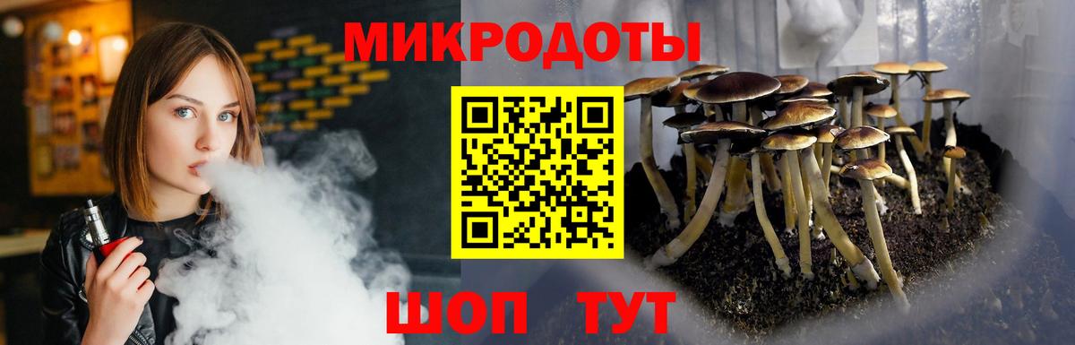 Галлюциногенные грибы Psilocybe  Вход с VPN  Лесной 